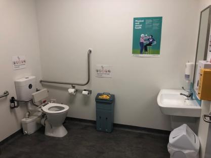 toilet2