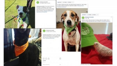 Social Media Examples