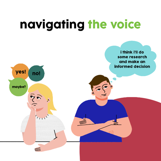Navigating the Voice to Parliament