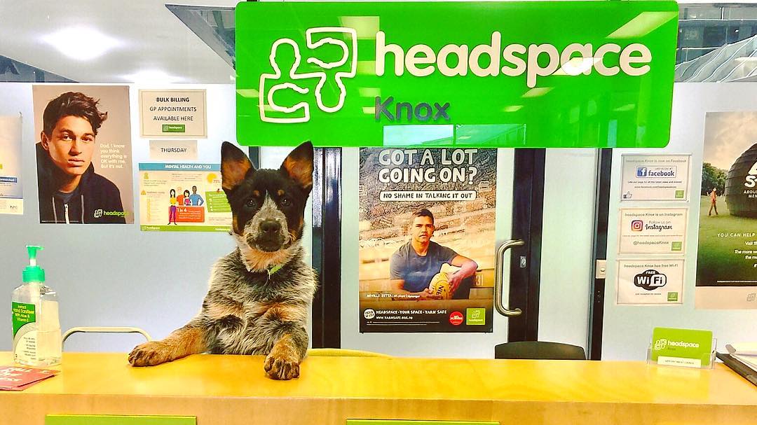 headspace Halloween!